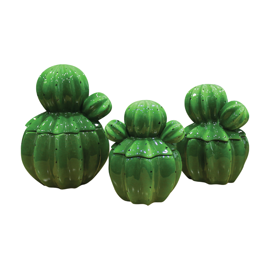 KP Collection Cactus Jar Set from the Retail Shop of Manila House